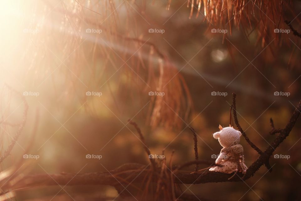 A toy deer with a small backpack sits on a fir branch in the rays of the setting sun.