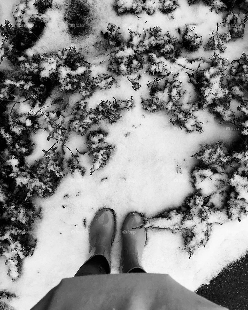 Snowy winter scene in black and white. What a chilly but fun day this was! I remember it like yesterday.