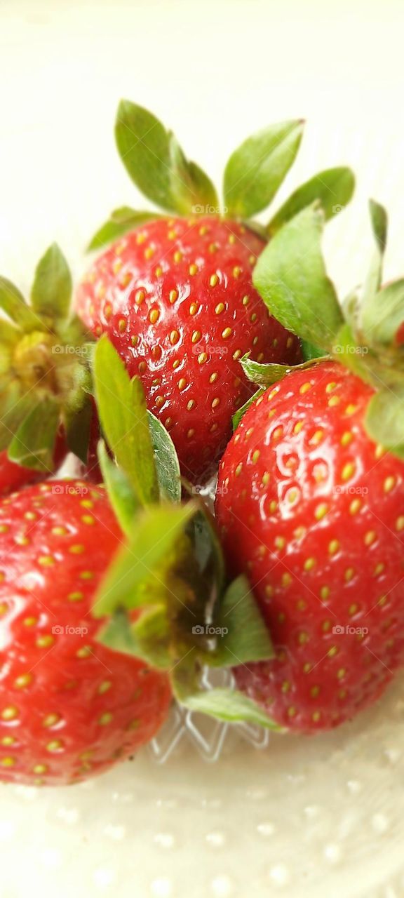 Strawberry 🍓 in summer