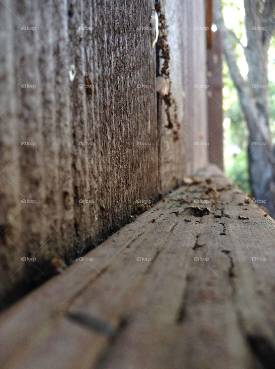Worn Wooden Fence. Close up photos can show texture and the small aspects of life the naked eye can not see.
