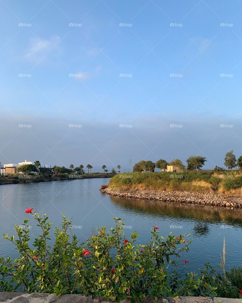 the amazing nature and beach
