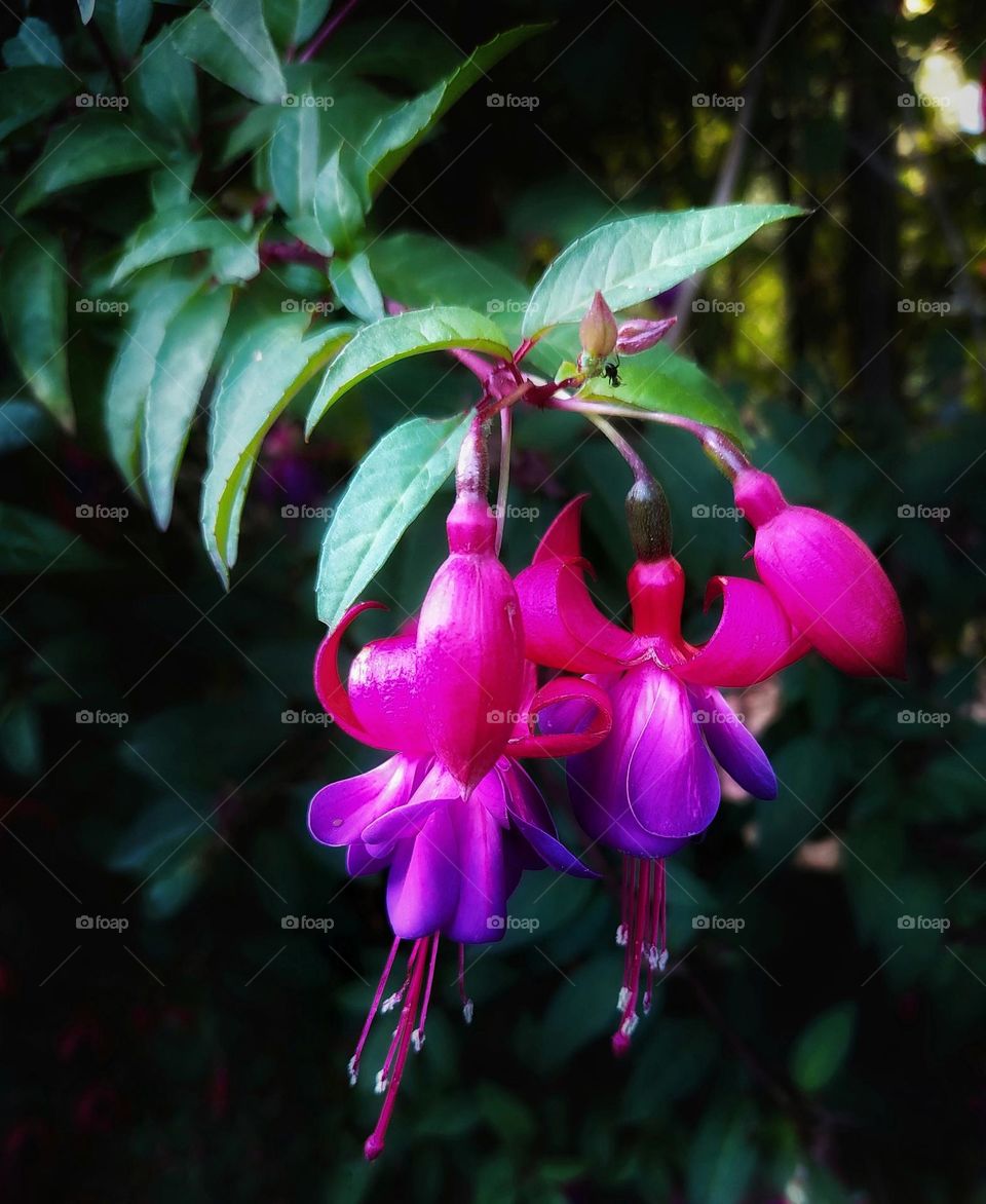 Early signs of the beauty of spring