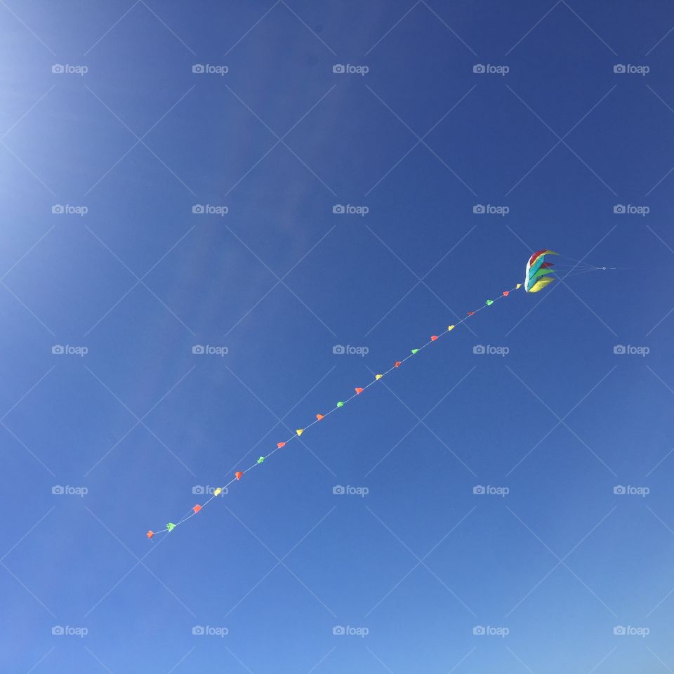 Flying kites. 