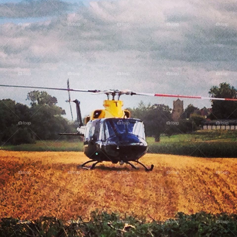 Helicopter landing in corn field