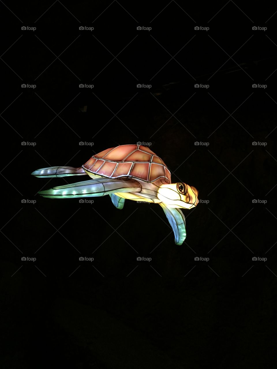 An illuminated turtle. Photo is taken at a special evening at the zoo.