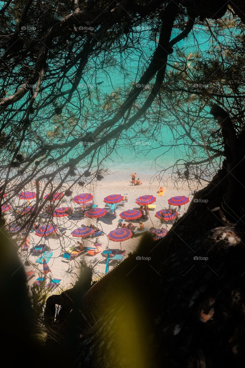 View Of A Busy Beach Through Branches Of A Tree