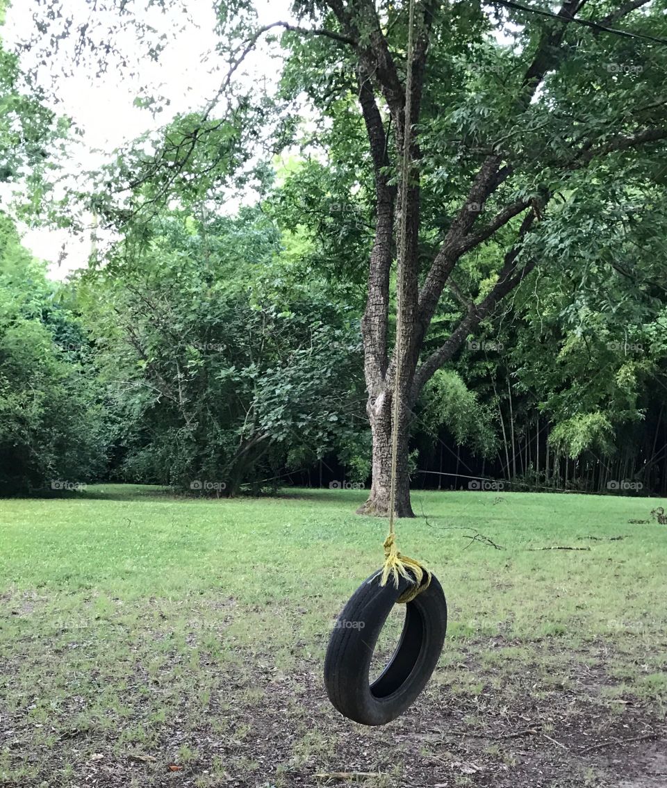 Tire swing in a pretty yard