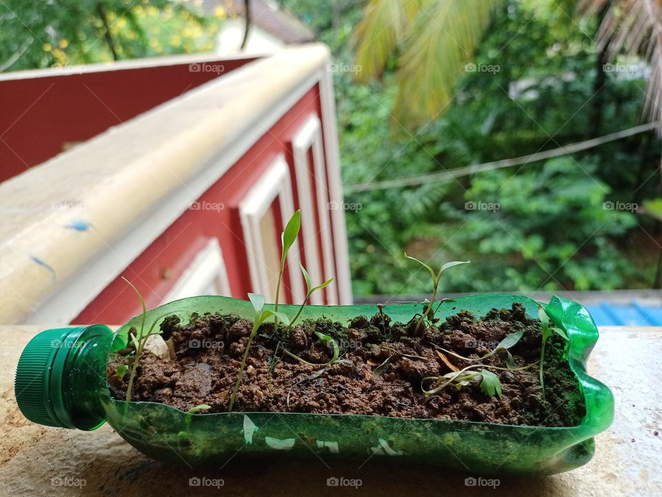 home made recycling idea of plastic bottle