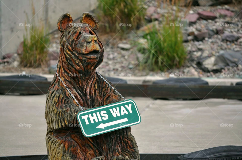 streets bear wooden signage by tklinken