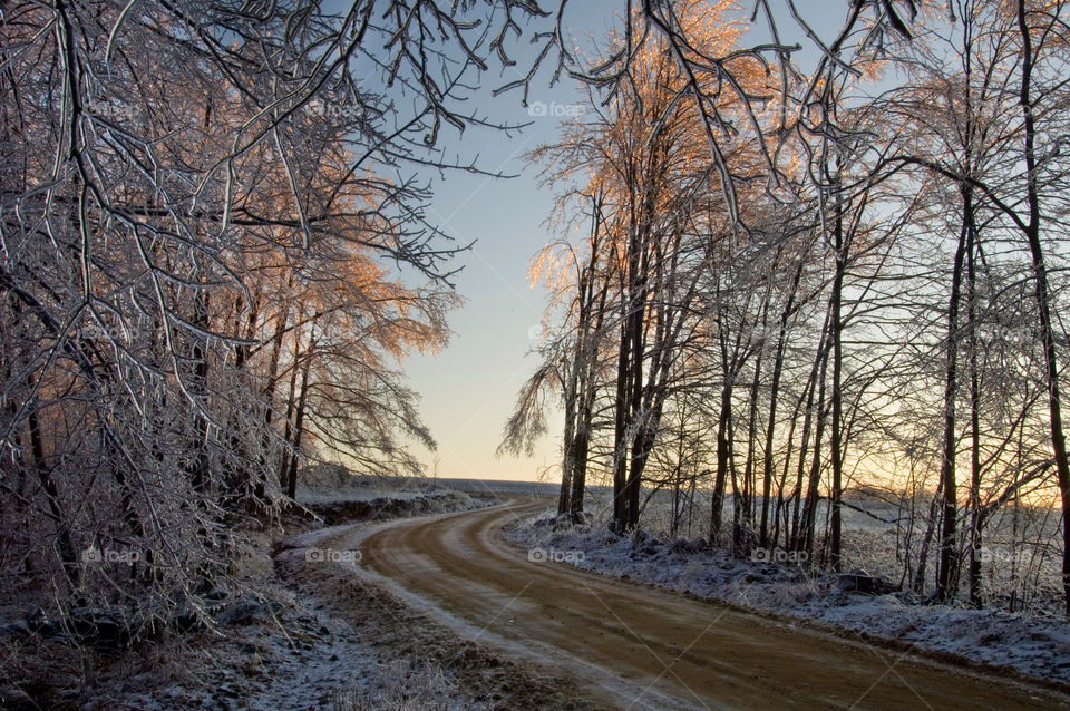 Winding dirt road as the morning light comes through the ice encased