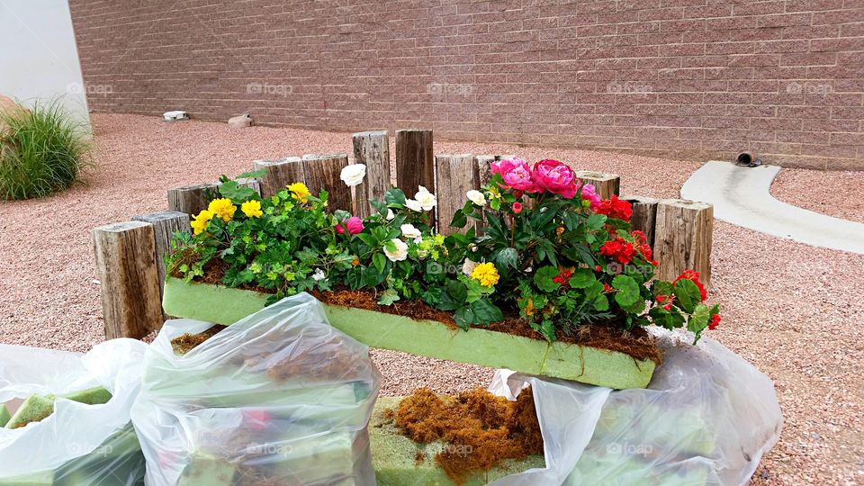 Planter box. Pre-planned box of flowers ready for the garden