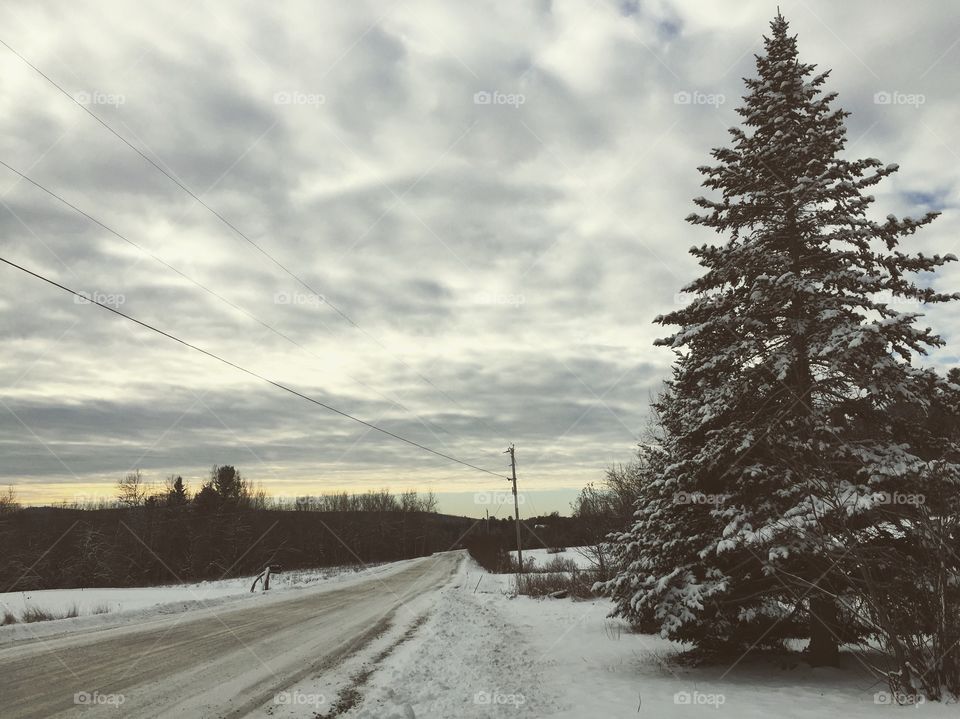 Beautiful nature picture of outside in the snow 