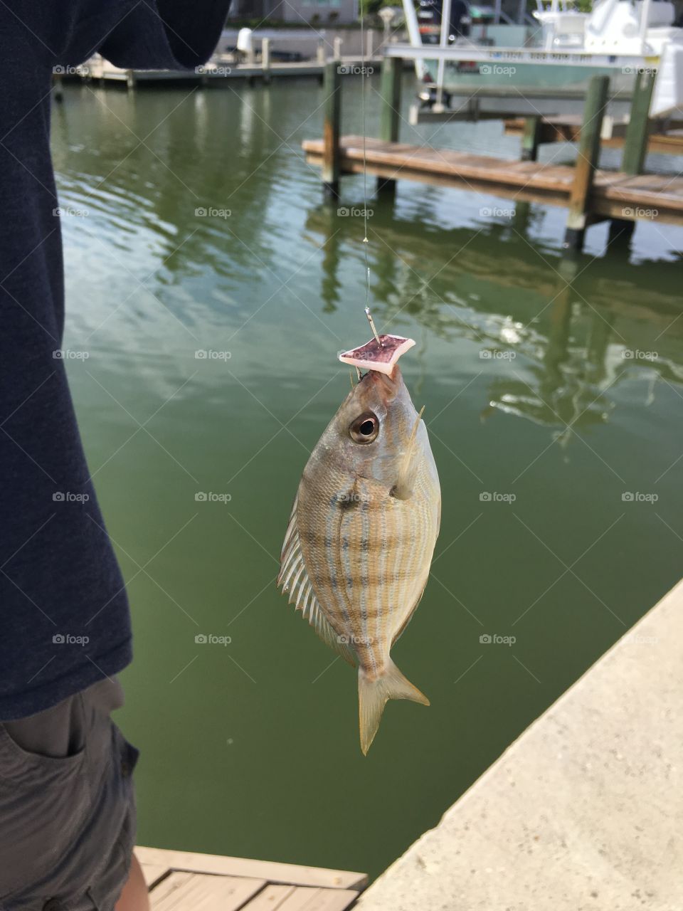 Fresh catch