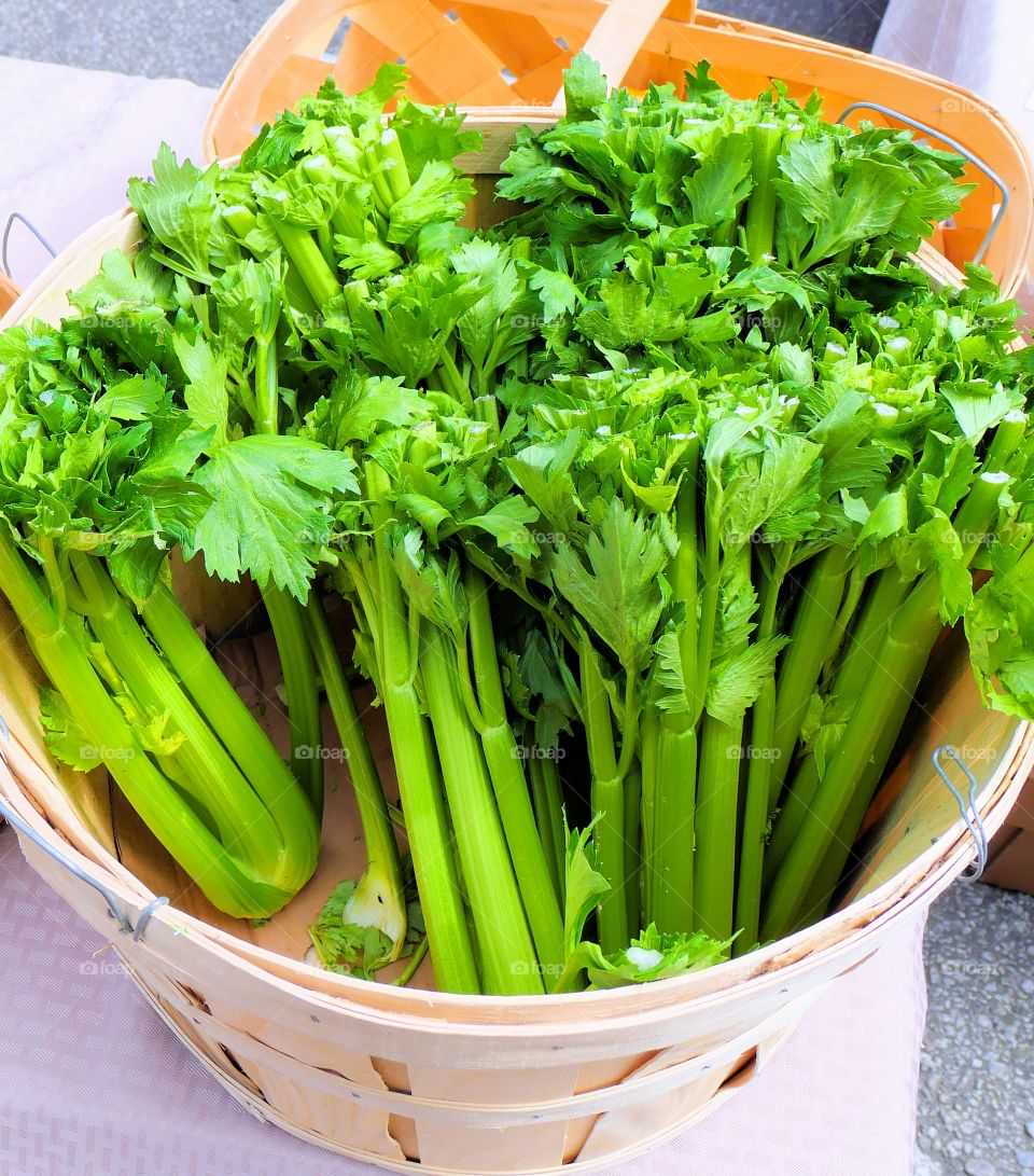 Basket Of Celery
