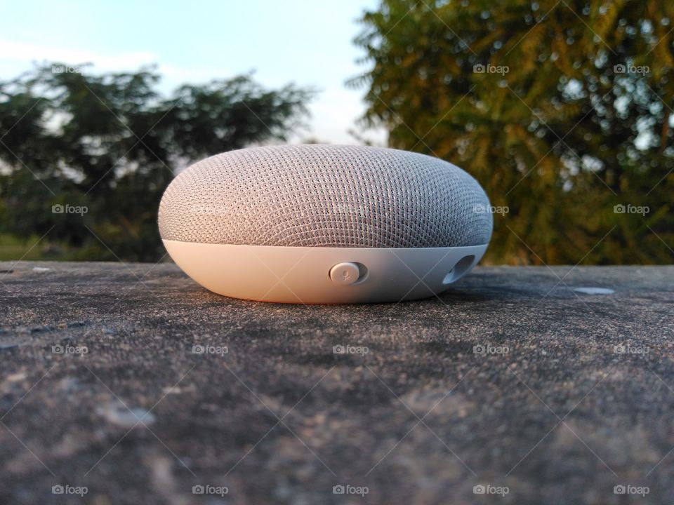 home mini Google