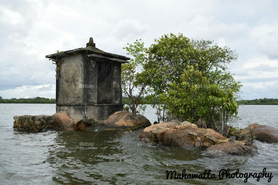50 cent island - Madu River, Sri lanka