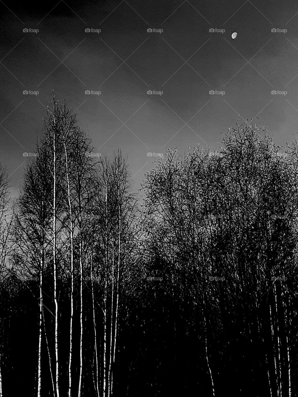 Осенний вечер...