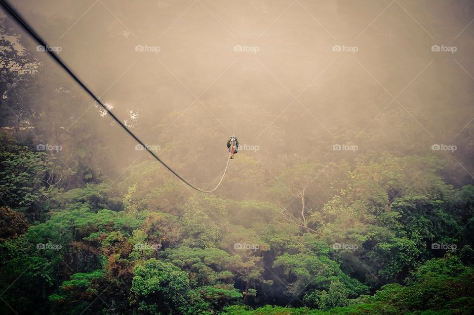 Zip Line 