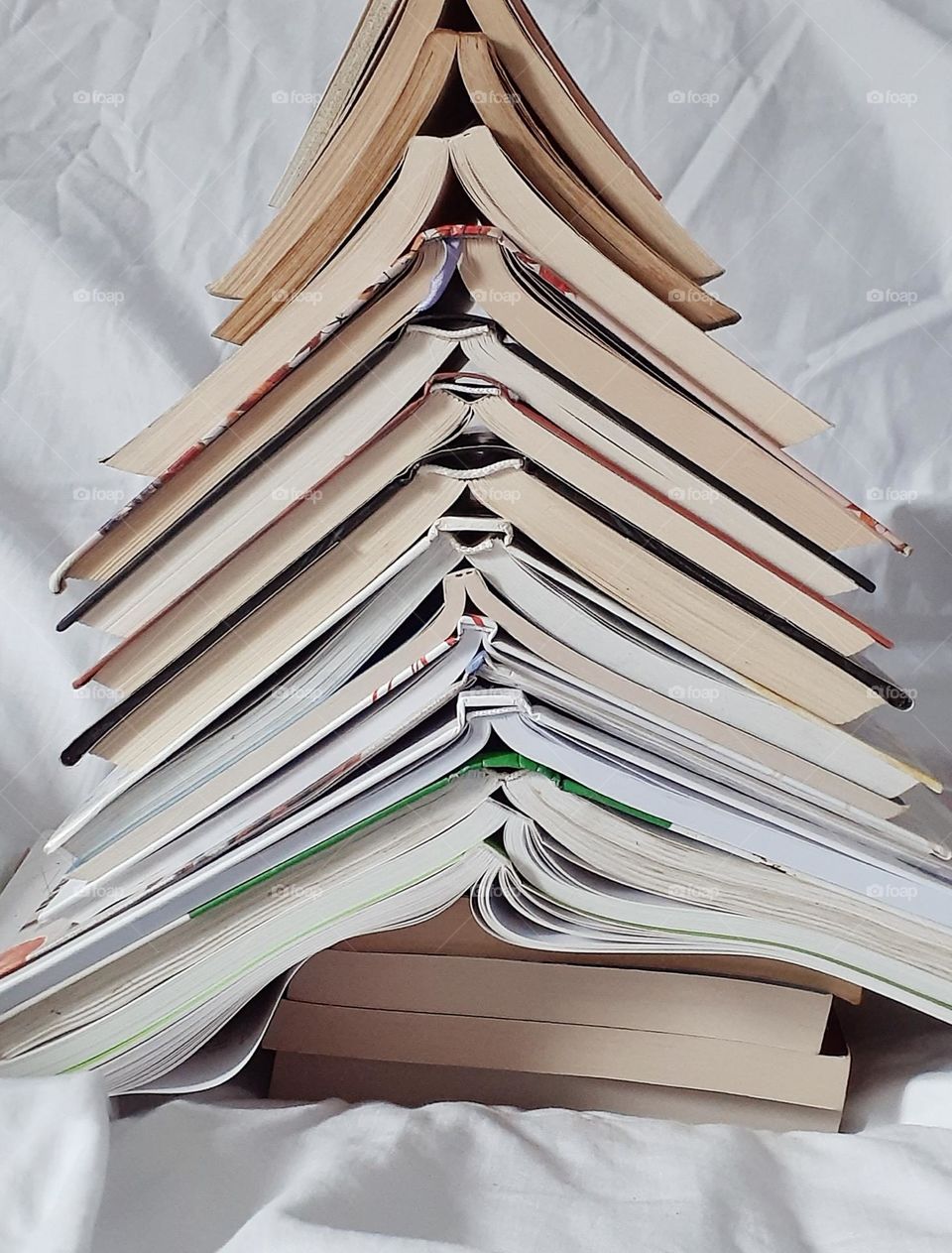 Christmas tree this year