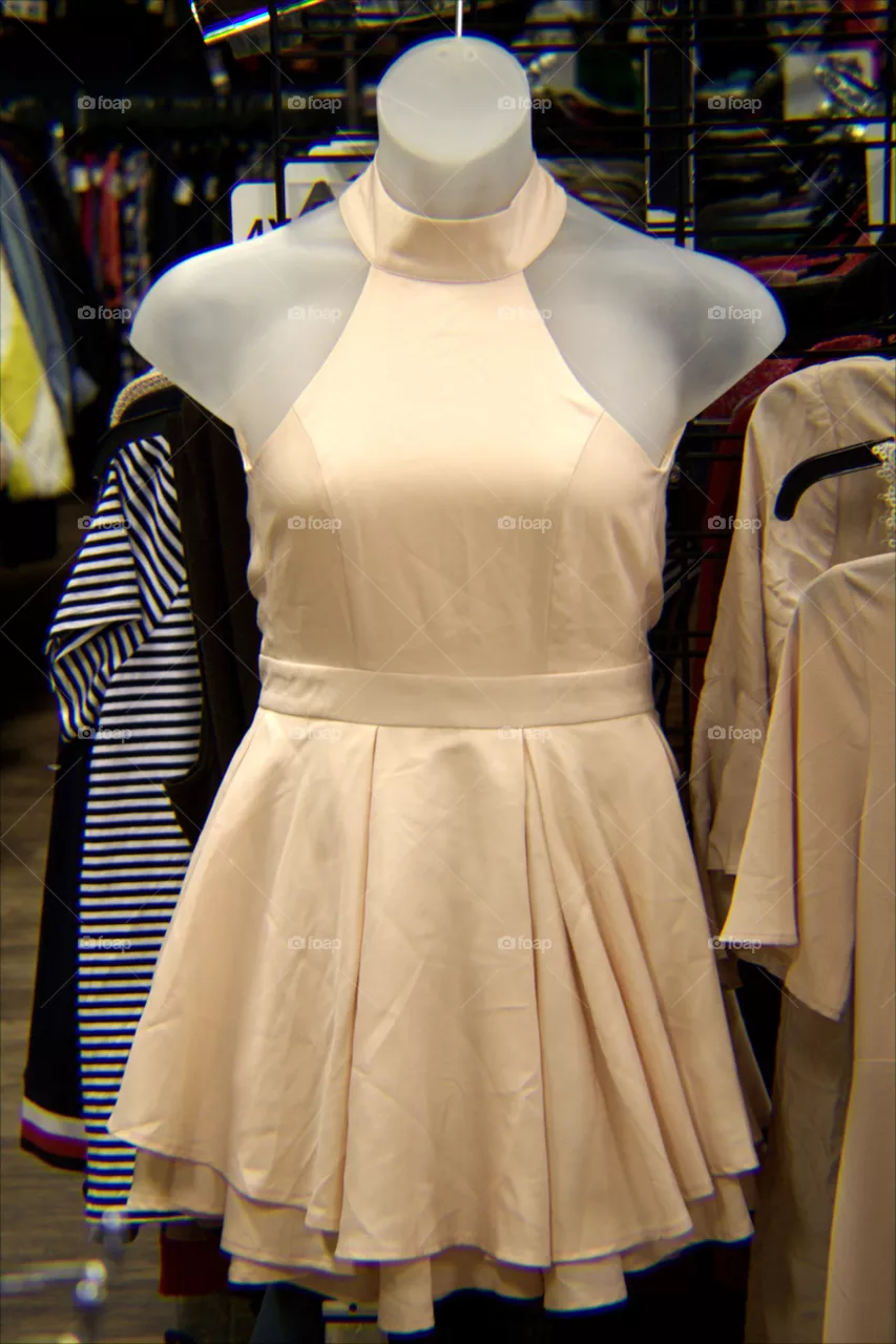 Fashion on Display