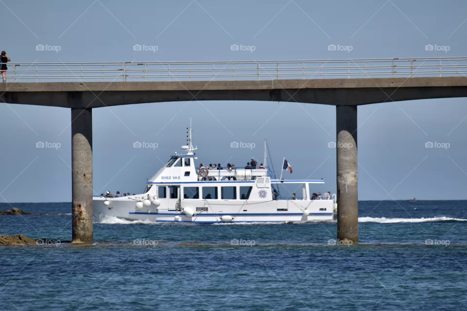 A bist and a bridge with sea and horizon 