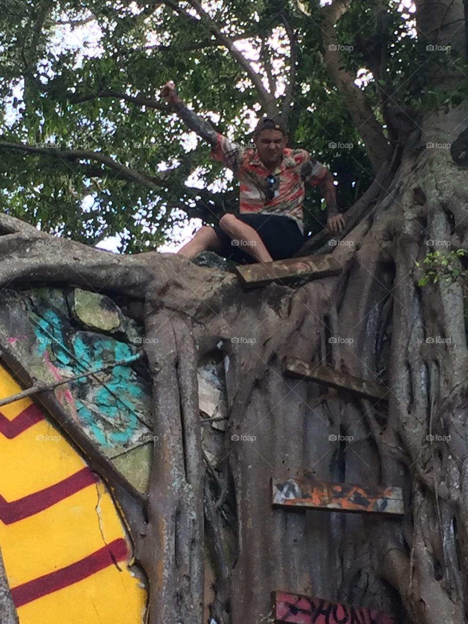 Tree, People, Wood, Religion, One