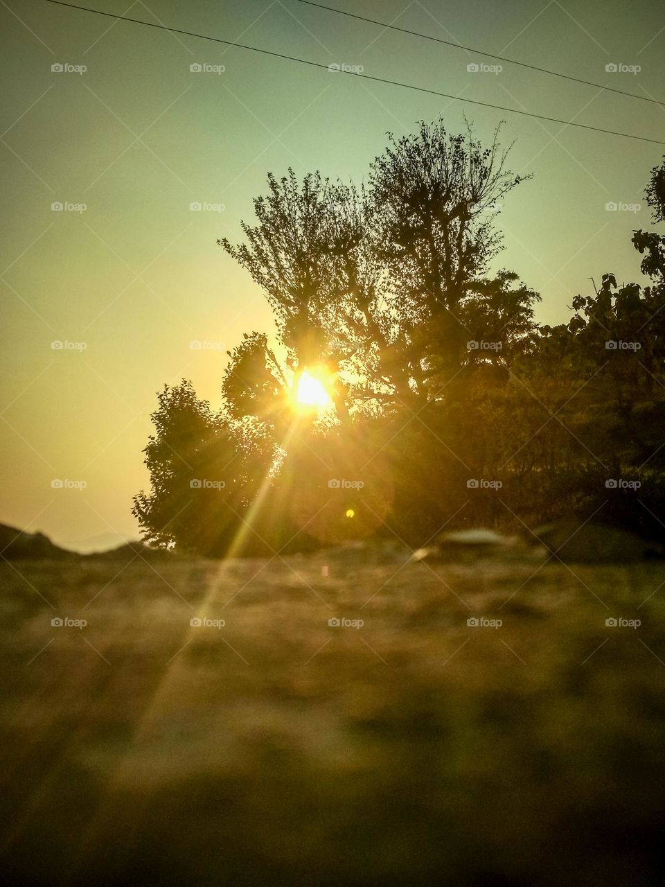 beautiful sunlight coming behind from trees.