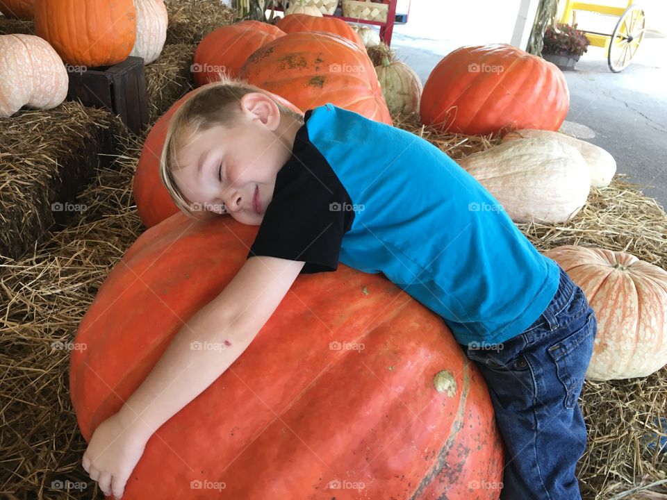 Pumpkin hugger 
