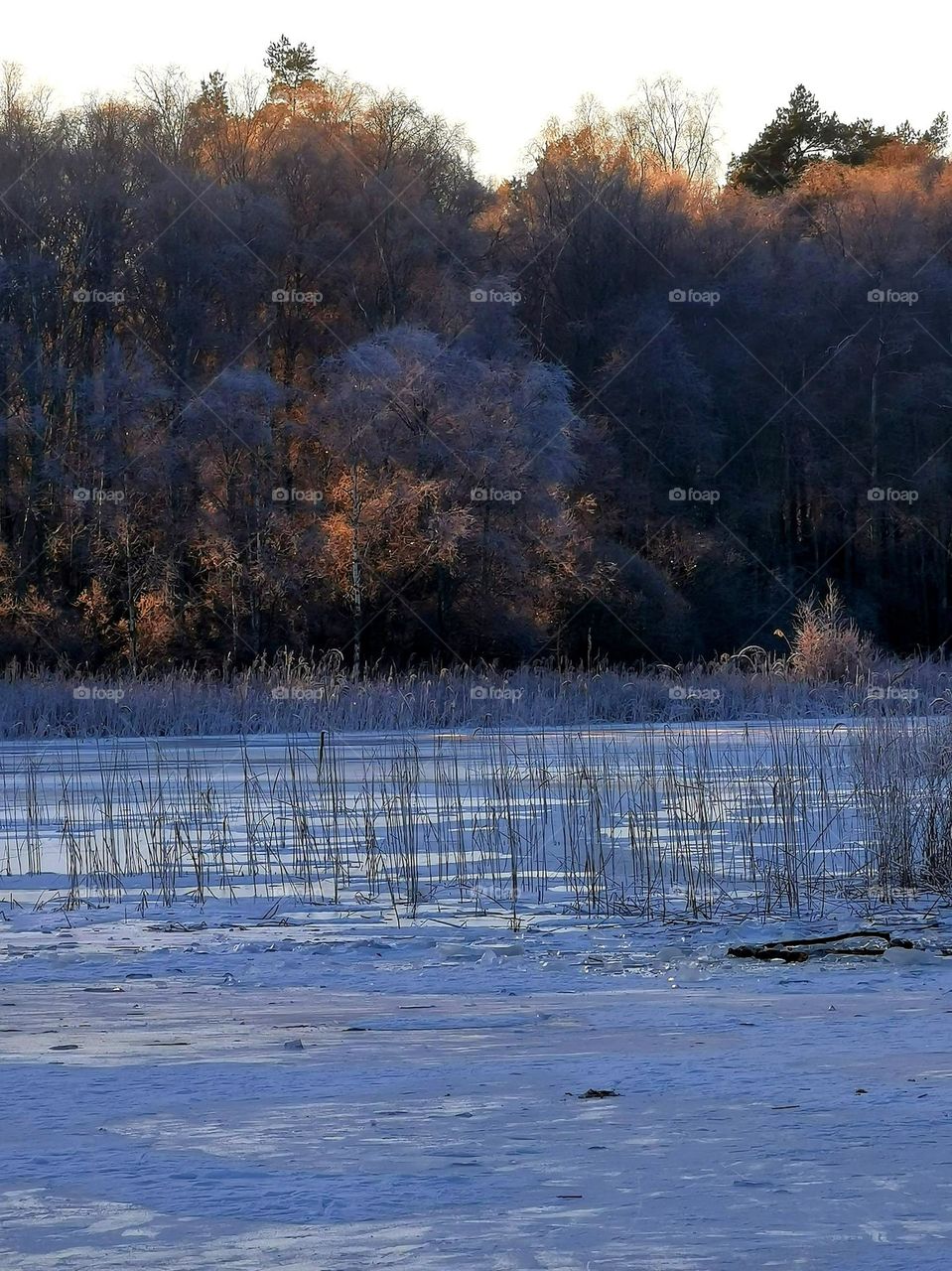 Winter lake