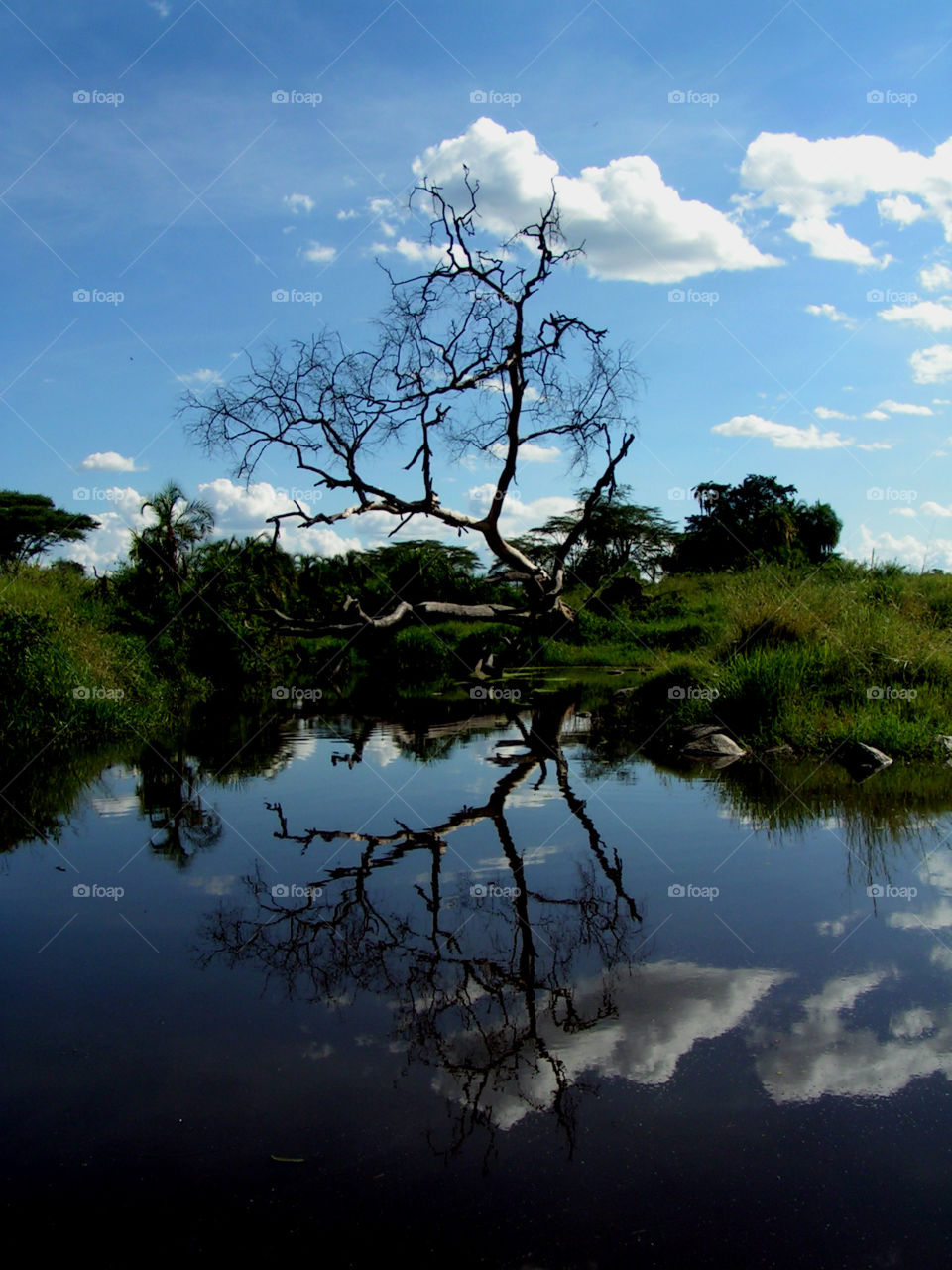 Reflection on the water