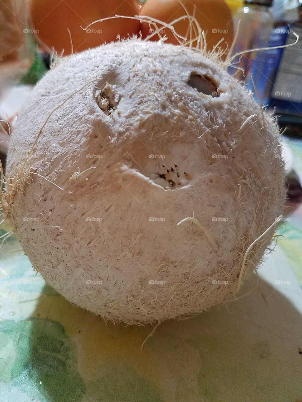 Coconuts say "wow" too!!!