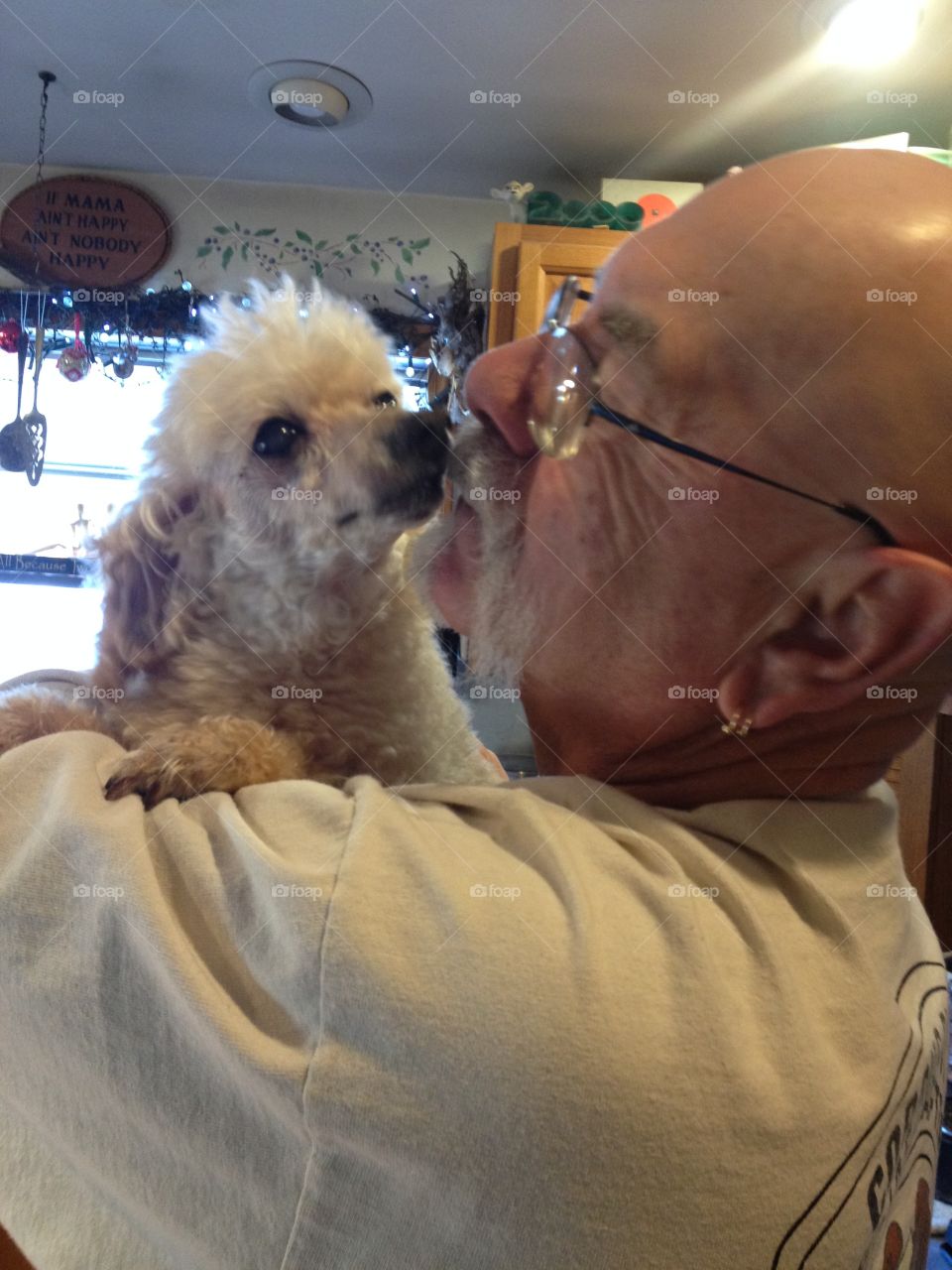 Poodle held up on shoulder of man, safe in his arms & loved.
