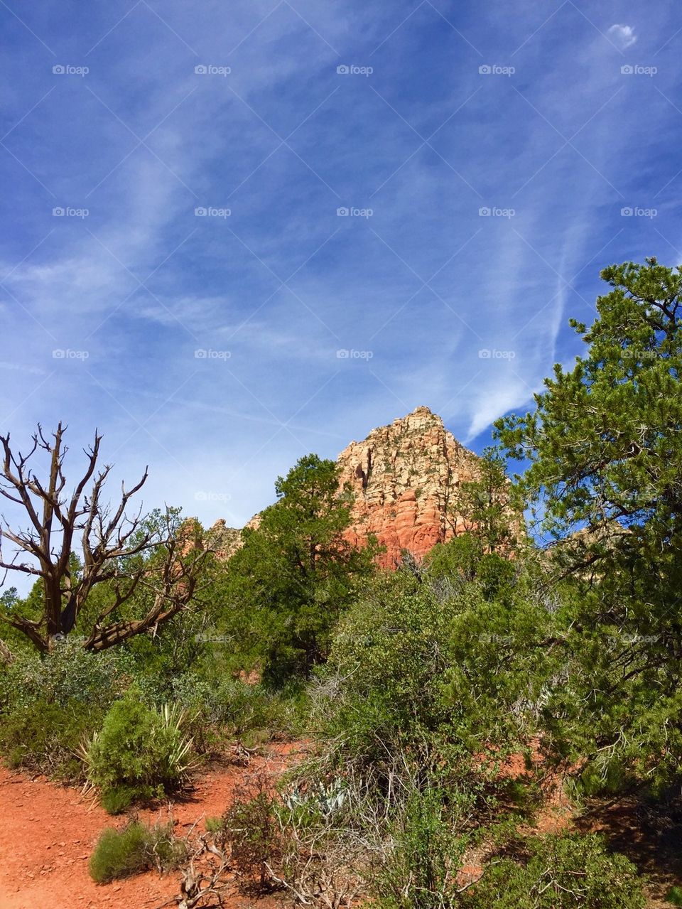 Red Rocks Sedona