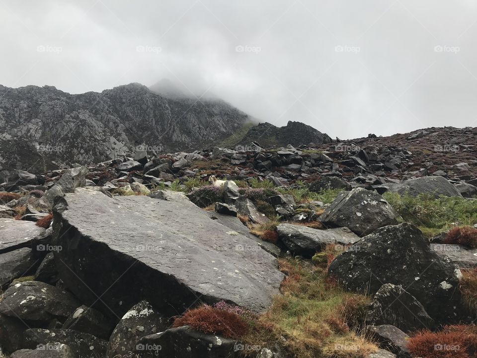 Harsh landscape with harsh weather