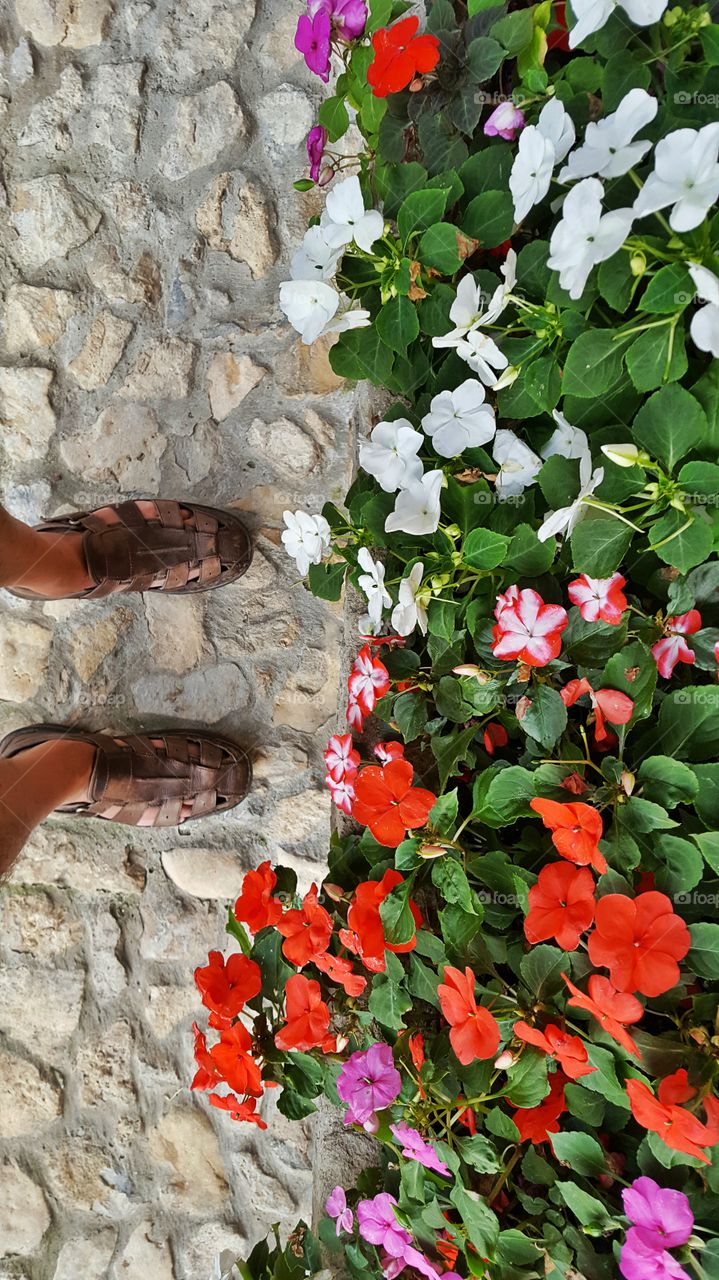 Standing in front of beautiful flowers