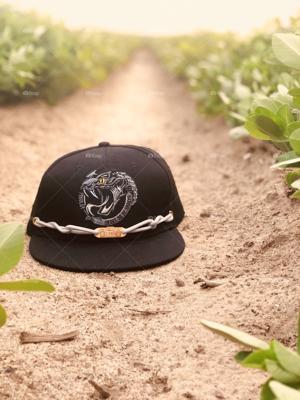Hat on a field 