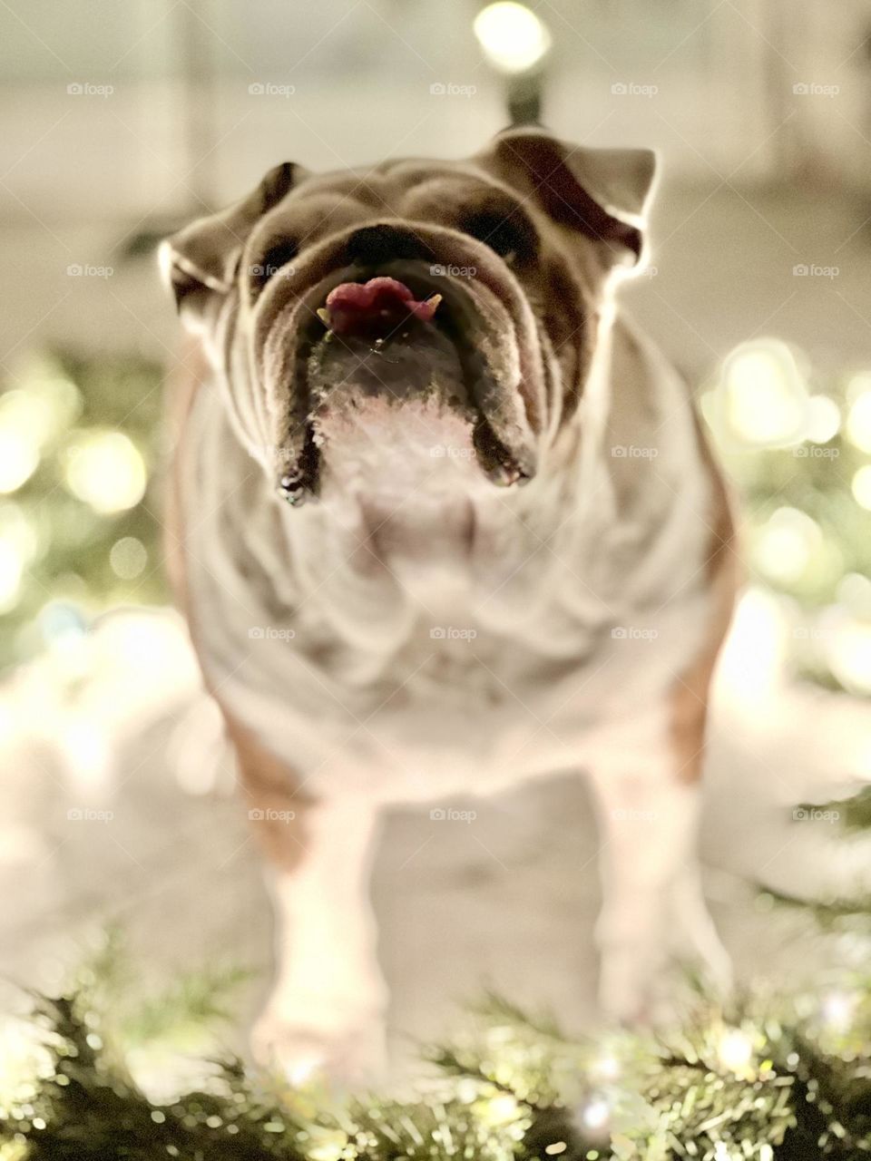 Merry Christmas Peppa