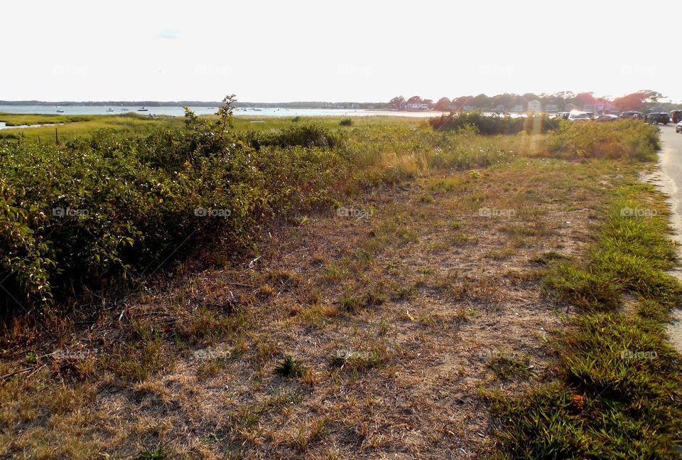 Footsteps in the sand 