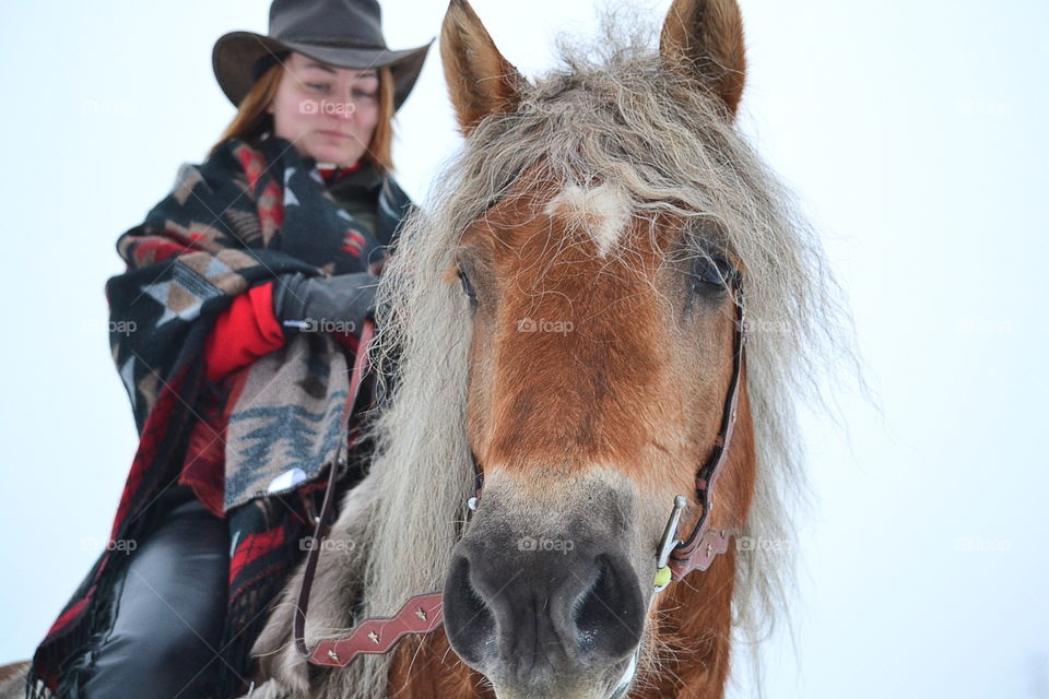 Woman sitting on horse