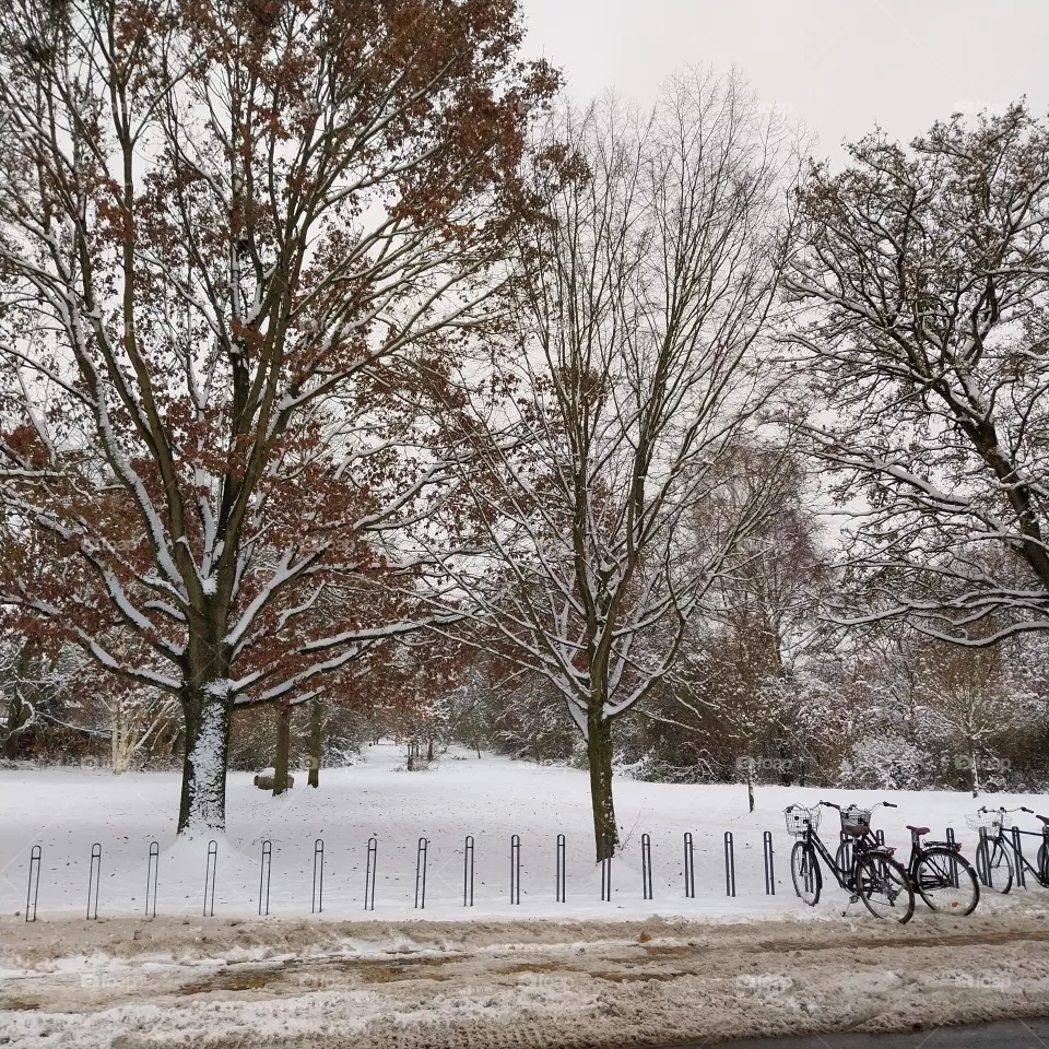 frost
