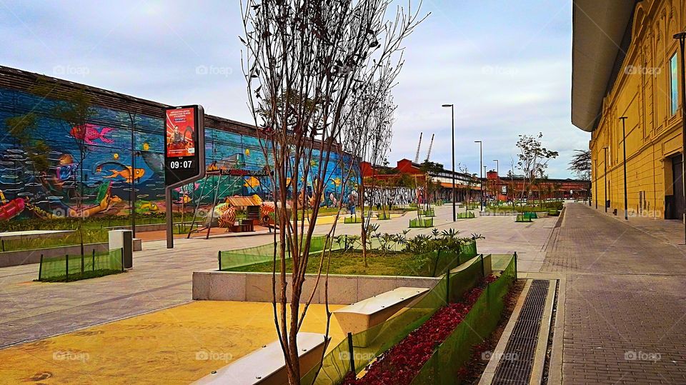 [AV] Boulevard Olímpico