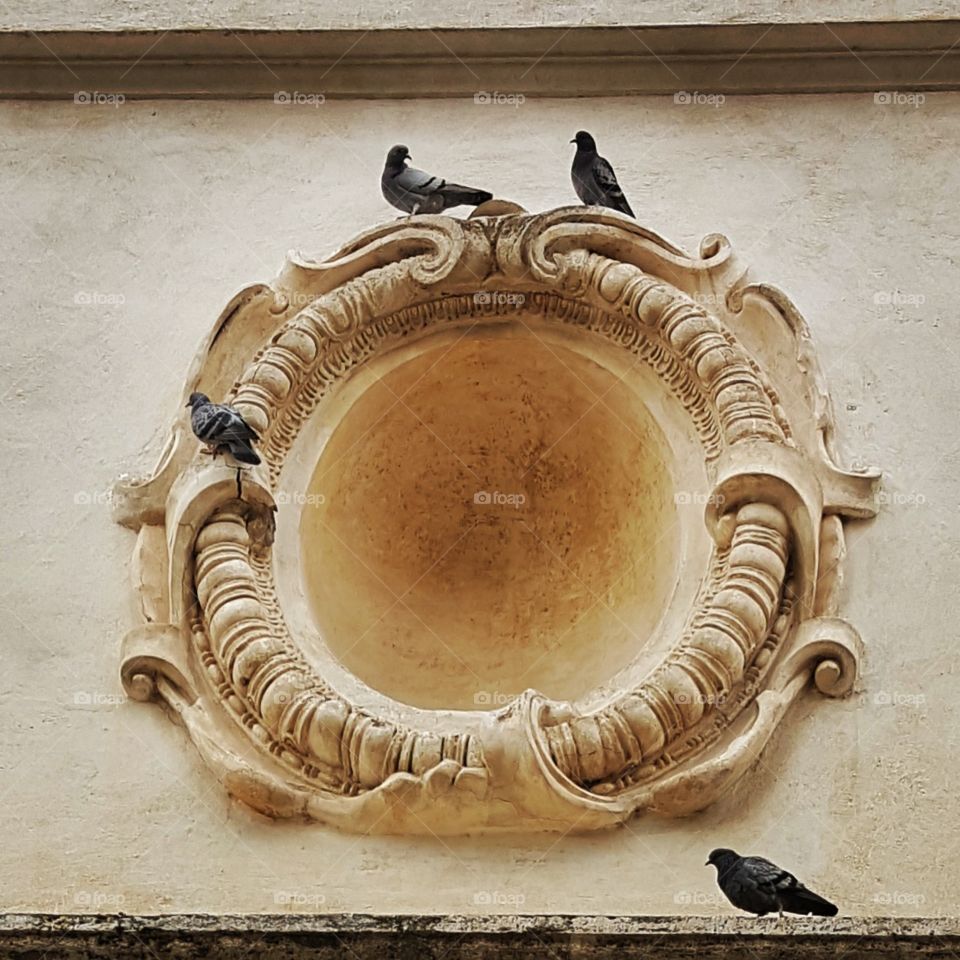 Pigeons in park Borghese Rome