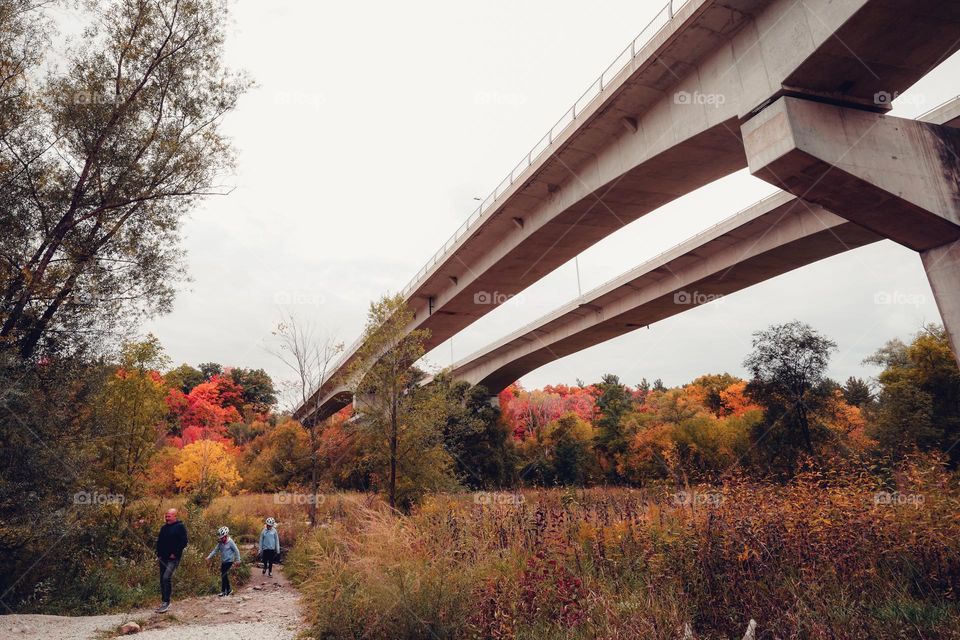 autumn walks in the park with beautiful fall colors