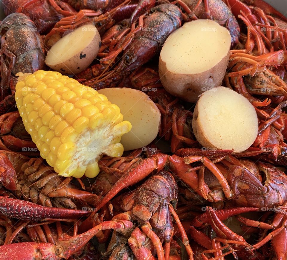 Louisiana food. Cajun cuisine. Crawfish. Mud bugs. Corn. Potatoes. Seafood. Spicy food. Cajun food. Louisiana cuisine. Vegetables. 
