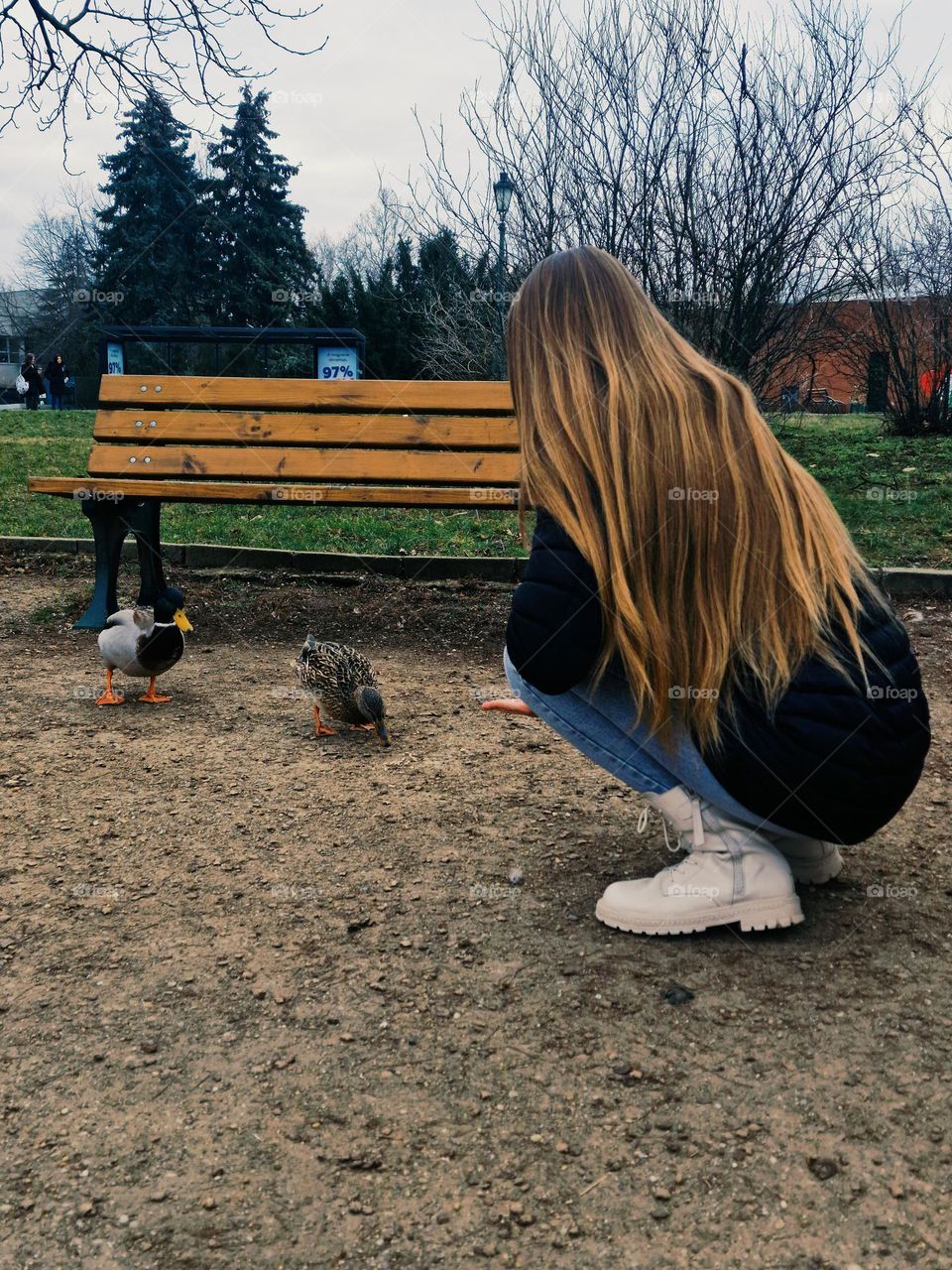 the young girl feeds the wild ducks