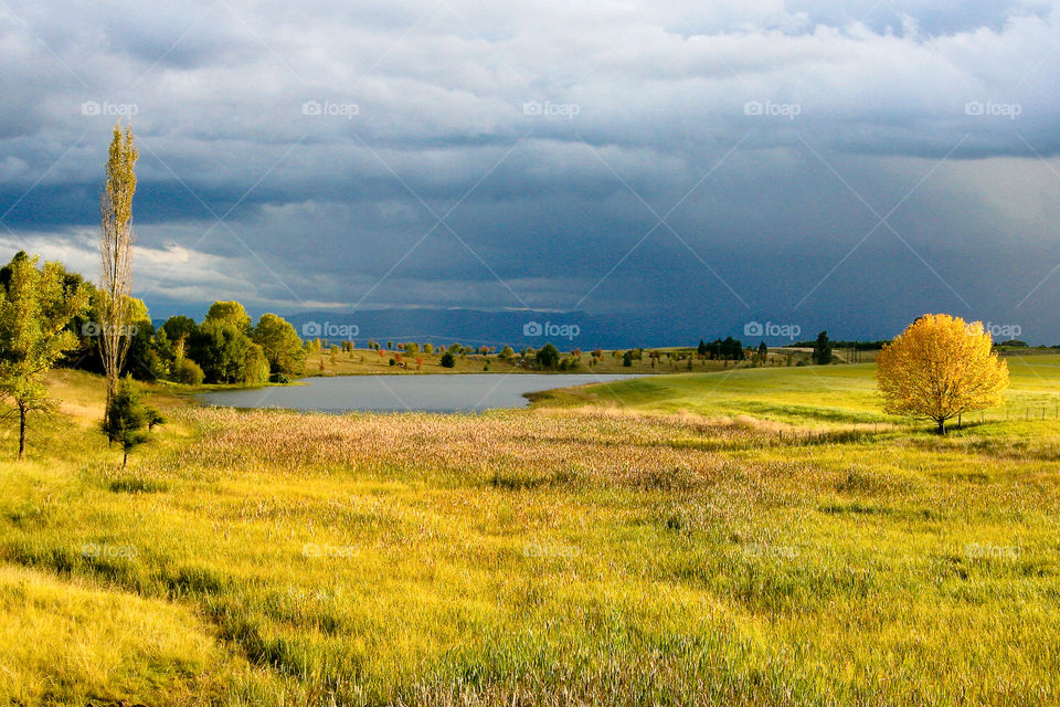 Sunset over the autumn field with thunder clouds in the distance. Love the light in this golden hour image over the grass fields.