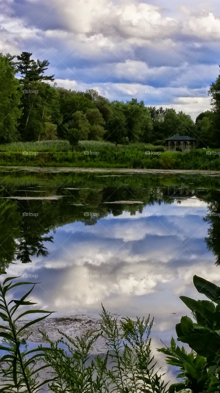 Reflected Sky