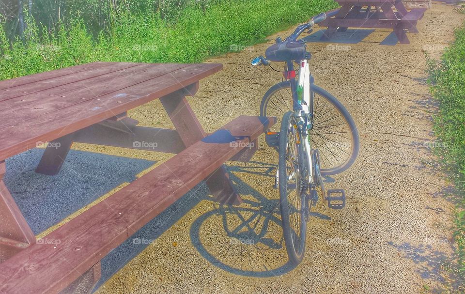 Bike Trail Rest Area