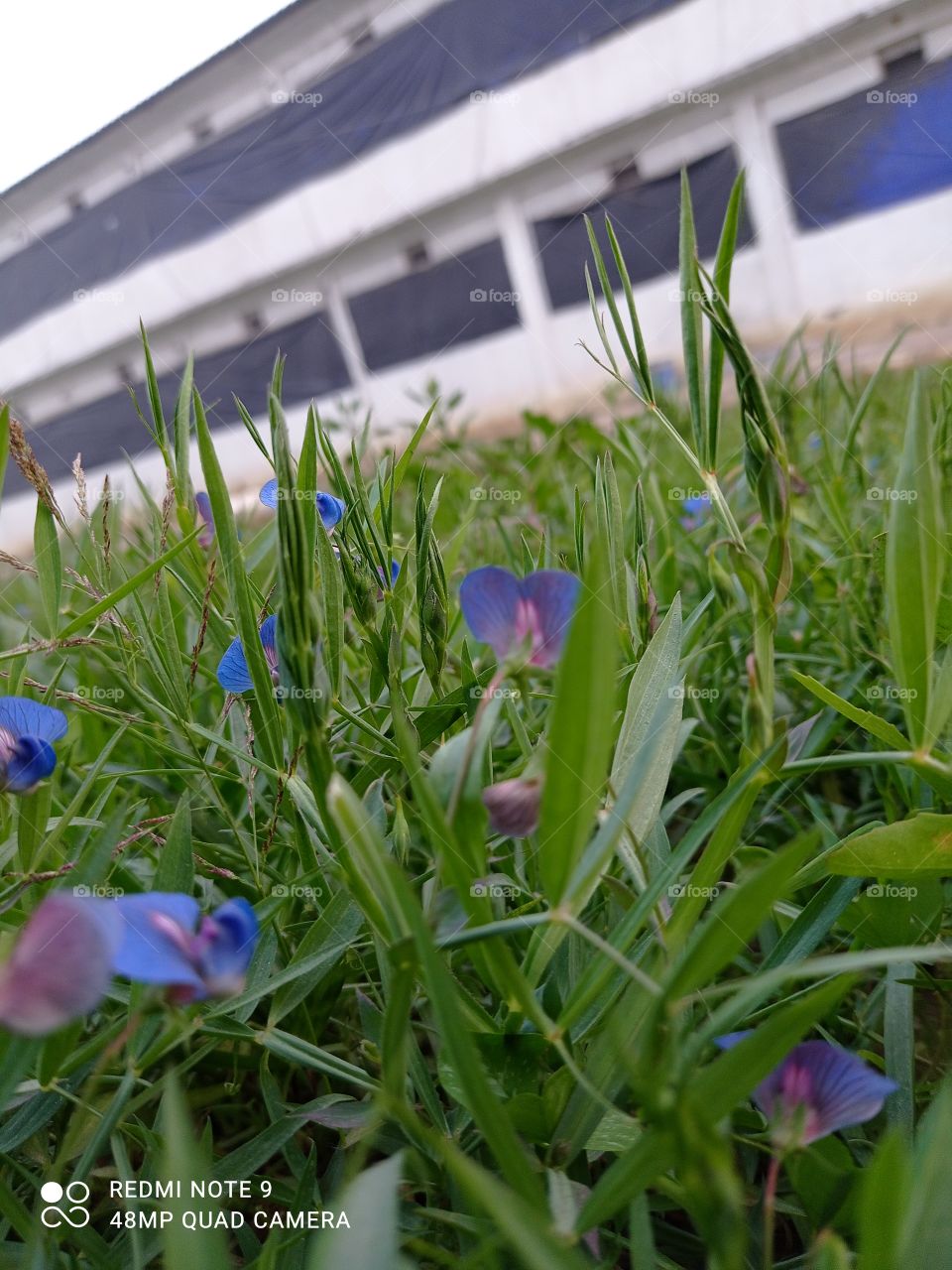 How much do you like this photo?