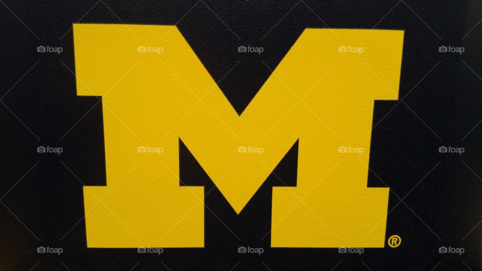 Go Blue